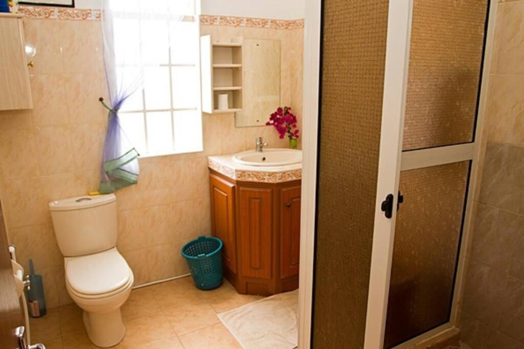 Villa Palmistes Apartment ลากูแล็ตต์ ภายนอก รูปภาพ